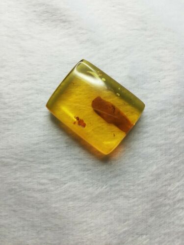 Square cabochon pendant Mexican Amber 5g fully polished with insect debris