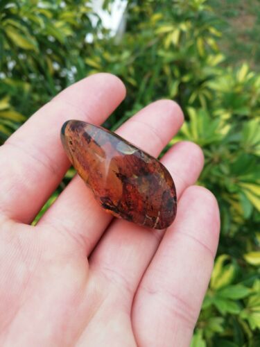 Some purple w blue green Mexican Amber 8.6g full polished pendant