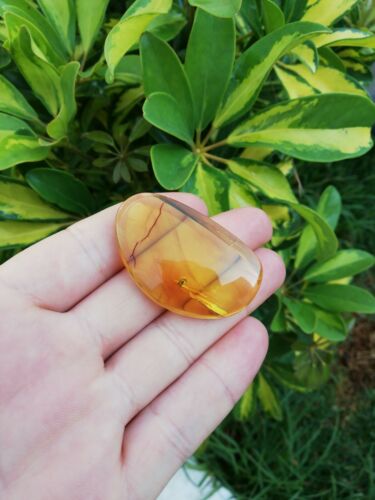 Clear Mexican Amber 10g fully polished with enhydro