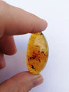Honey Mexican Amber 9g fully polished cabochon pendant