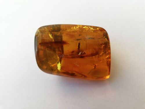 Stingless bees and other insects inside Mexican amber 24.5g
