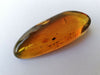 Ants and other insects inside Mexican amber 29.1g