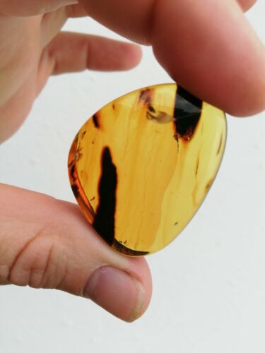 Red skin green Mexican Amber 10.3.g natural full polished