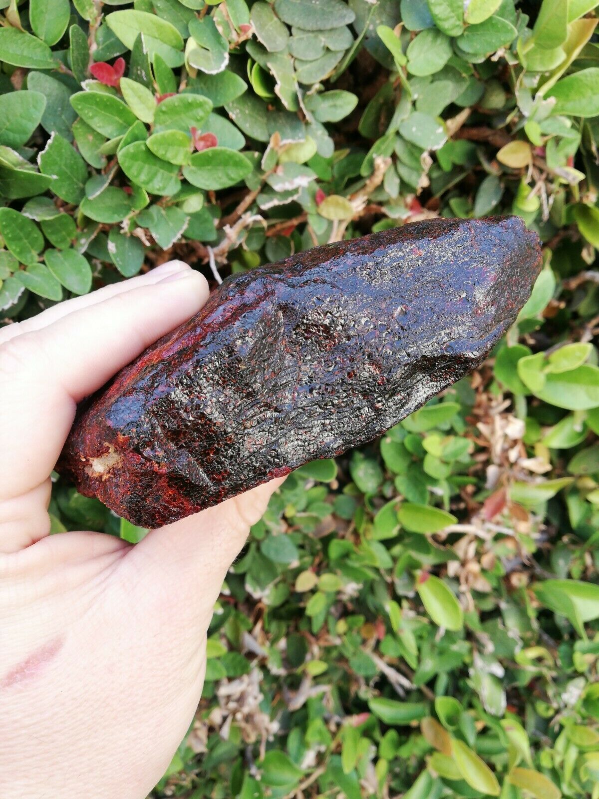 Big and clear Red Mexican Amber 279g with green or blue inside possibly