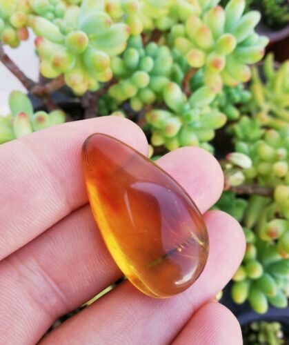 Mexican Amber 5g fully polished pendant with drop shape