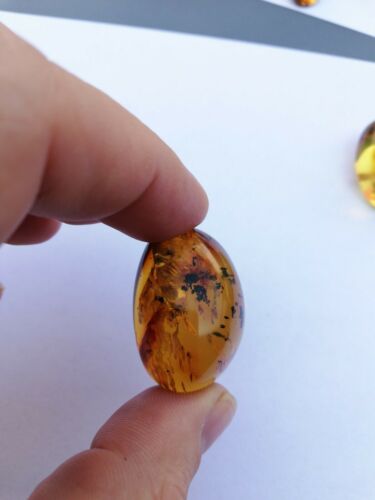 Mexican Amber 7.3g fully polished cabochon pendant
