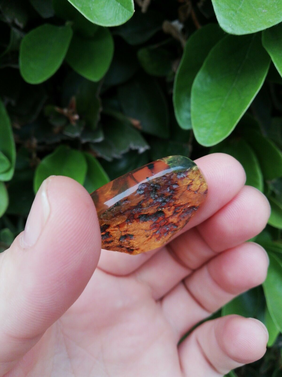Polishing blue green Mexican Amber 7.6g flat round shape with natural skin