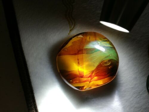 Ants and other insects inside Mexican amber 27.2g