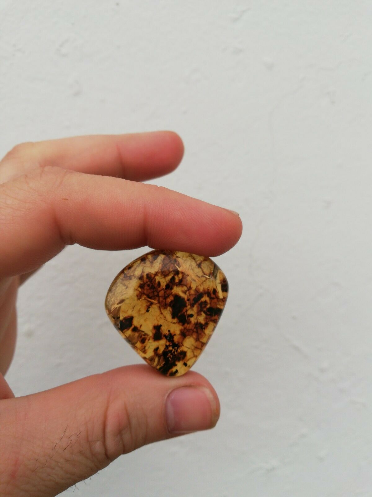 Polishing blue green Mexican Amber 7.6g flat round shape with natural skin