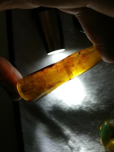 Dark Cognac Mexican Amber 27.9 fully polished blue green