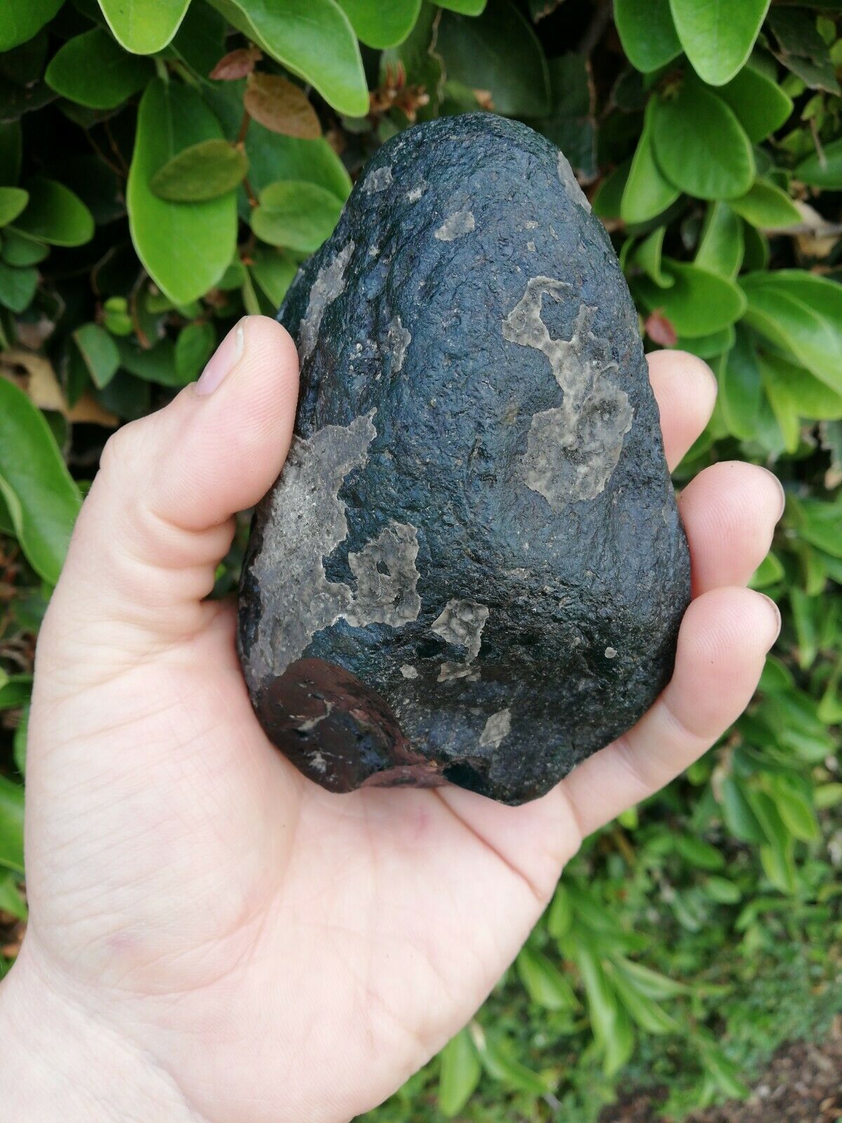 Rare dark blue green Mexican Amber 280g good shape