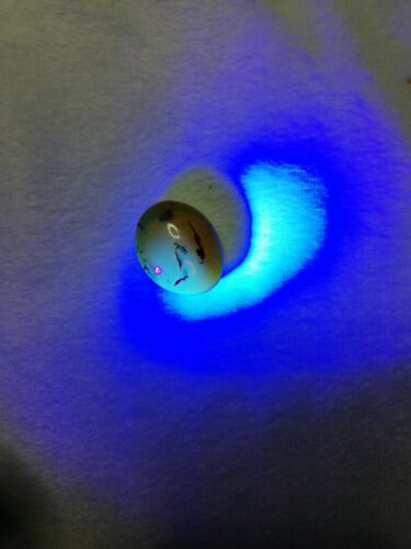Mexican Amber 4.2g fully polished cabochon pendant
