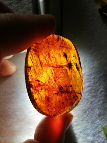 Ants and stingless bees with other insects inside Mexican amber 21.2g