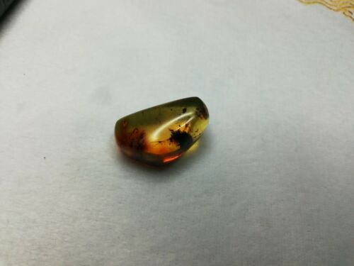 Mexican Amber 4g fully polished blue green gem