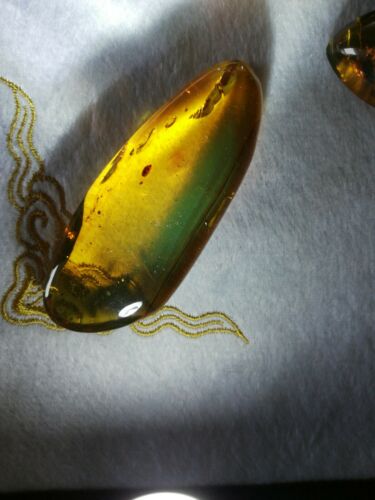 Ants and other insects inside Mexican amber 29.1g