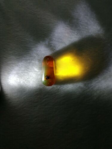 Red cognac Mexican Amber 3.1g fully polished pendant cabochon