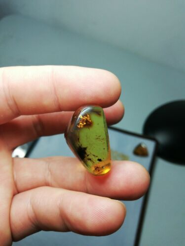 Mexican Amber 4g fully polished blue green gem