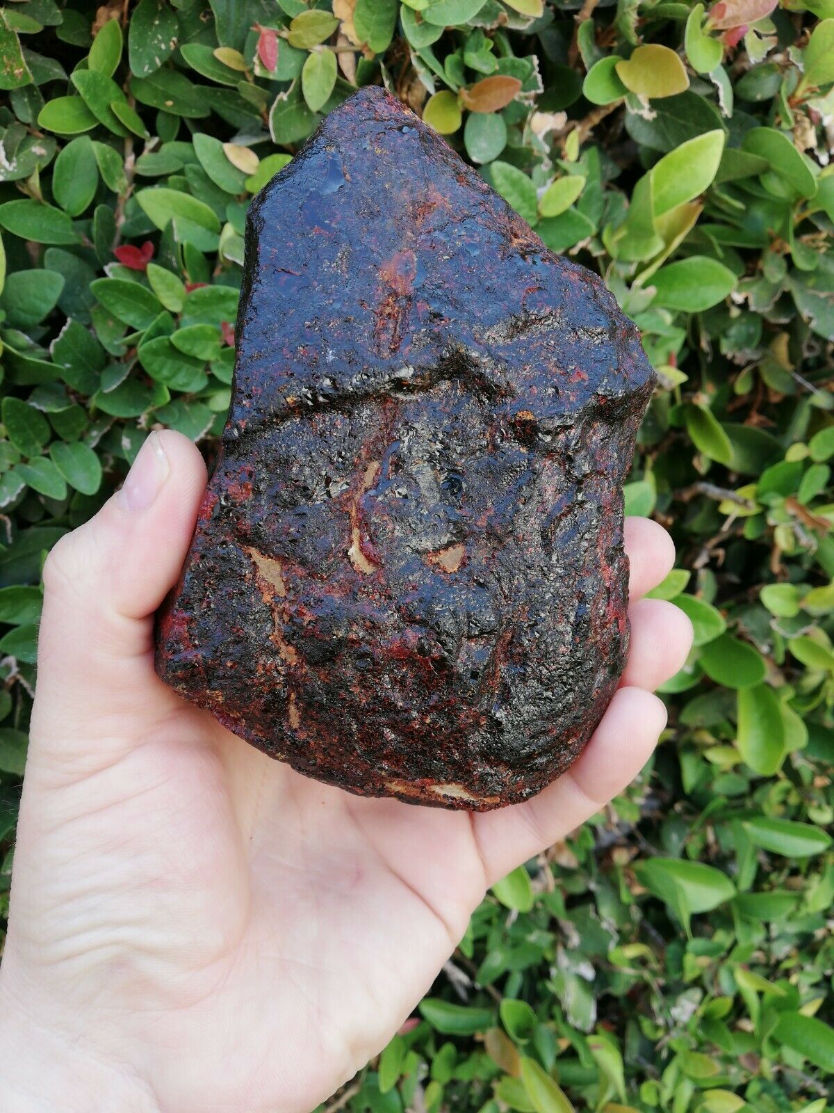 Big and clear Red Mexican Amber 279g with green or blue inside possibly