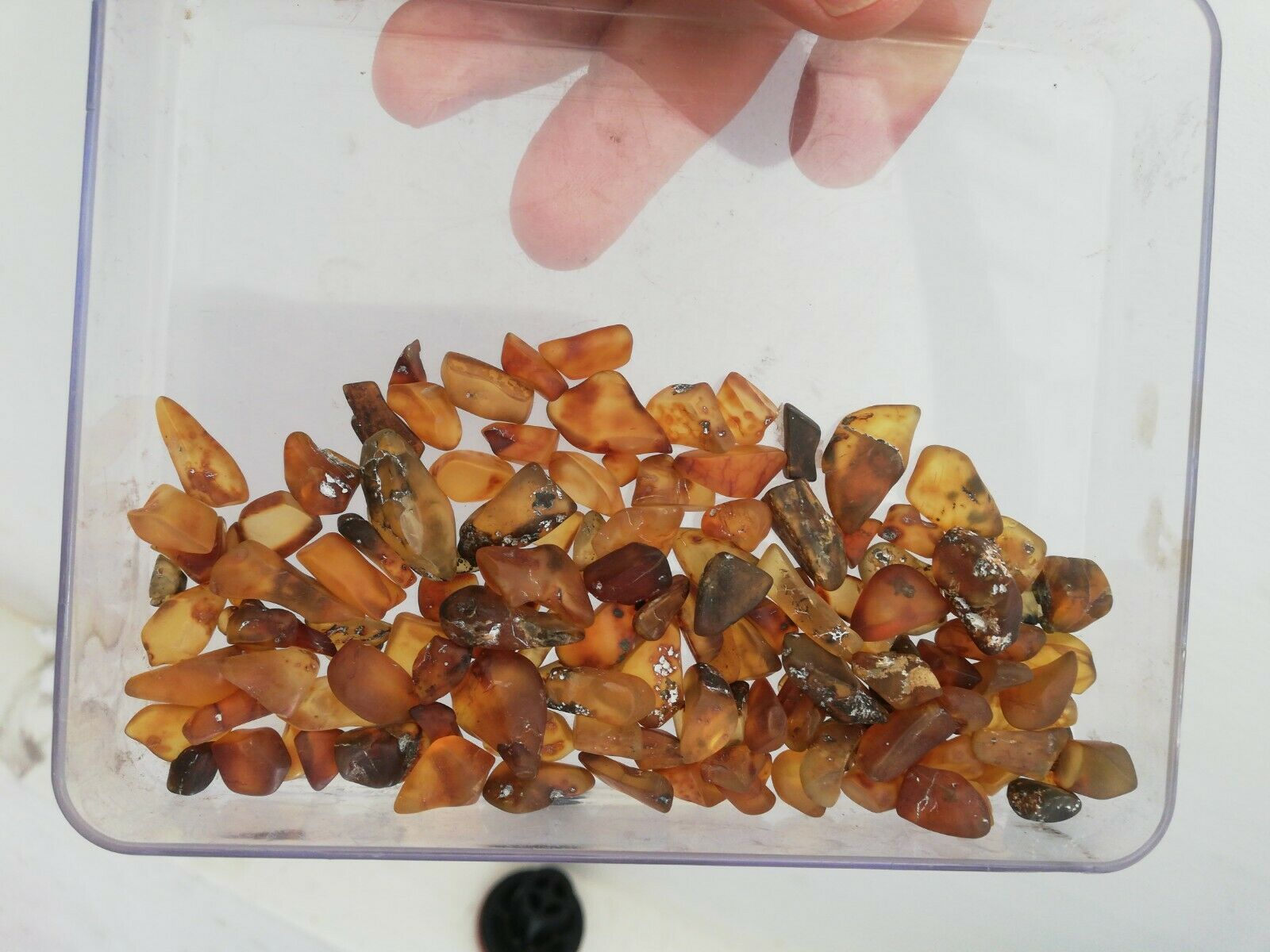 30g Amber Chips Yellow Green Red Blue from Chiapas Mexico tumbled matte finish