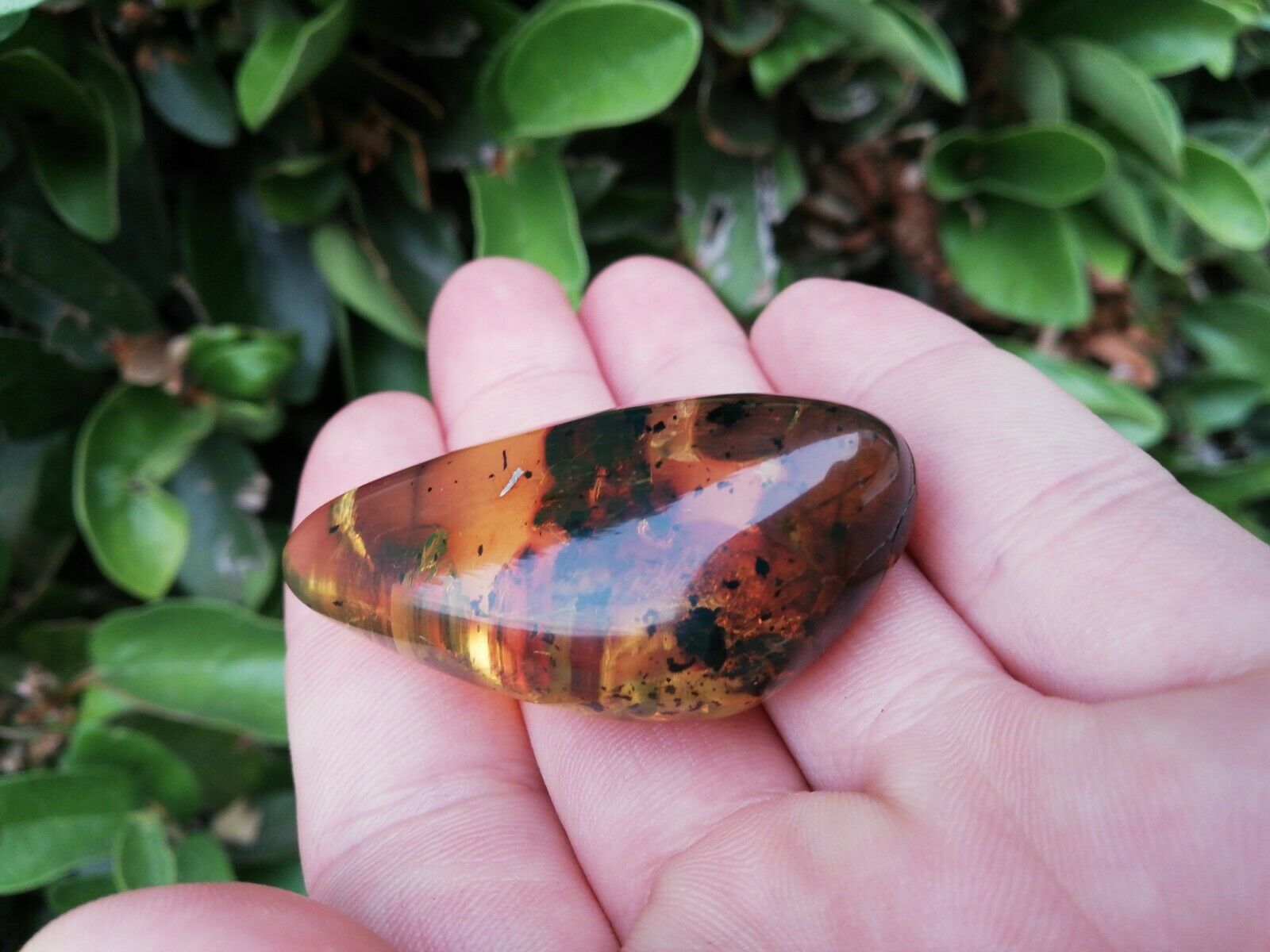 Polished blue green Mexican Amber 11.6g