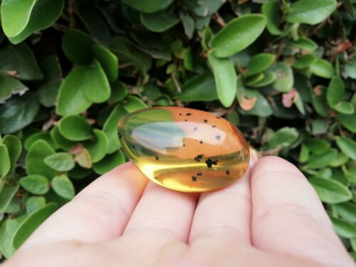 Clear blue green Mexican Amber 13.7g Nice Round shape pendant