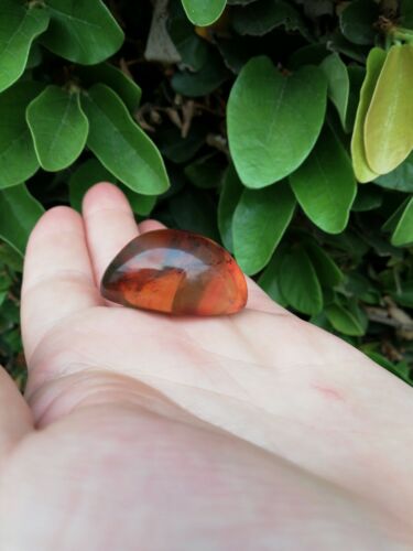 Red green Mexican Amber 10g Good round shape and flat base