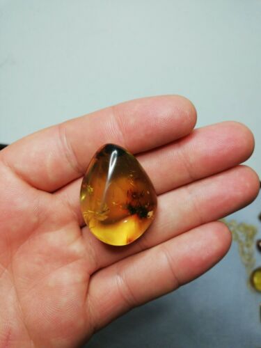 Clear Mexican Amber 8.2g fully polished pendant