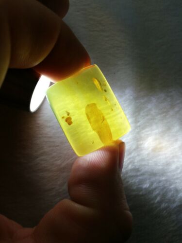 Square cabochon pendant Mexican Amber 5g fully polished with insect debris