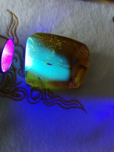 Stingless bees and other insects inside Mexican amber 24.5g