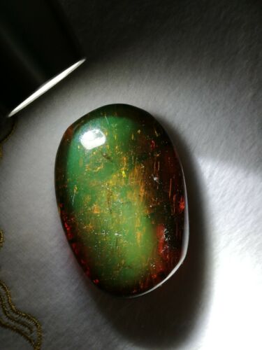 Ants and stingless bees with other insects inside Mexican amber 21.2g