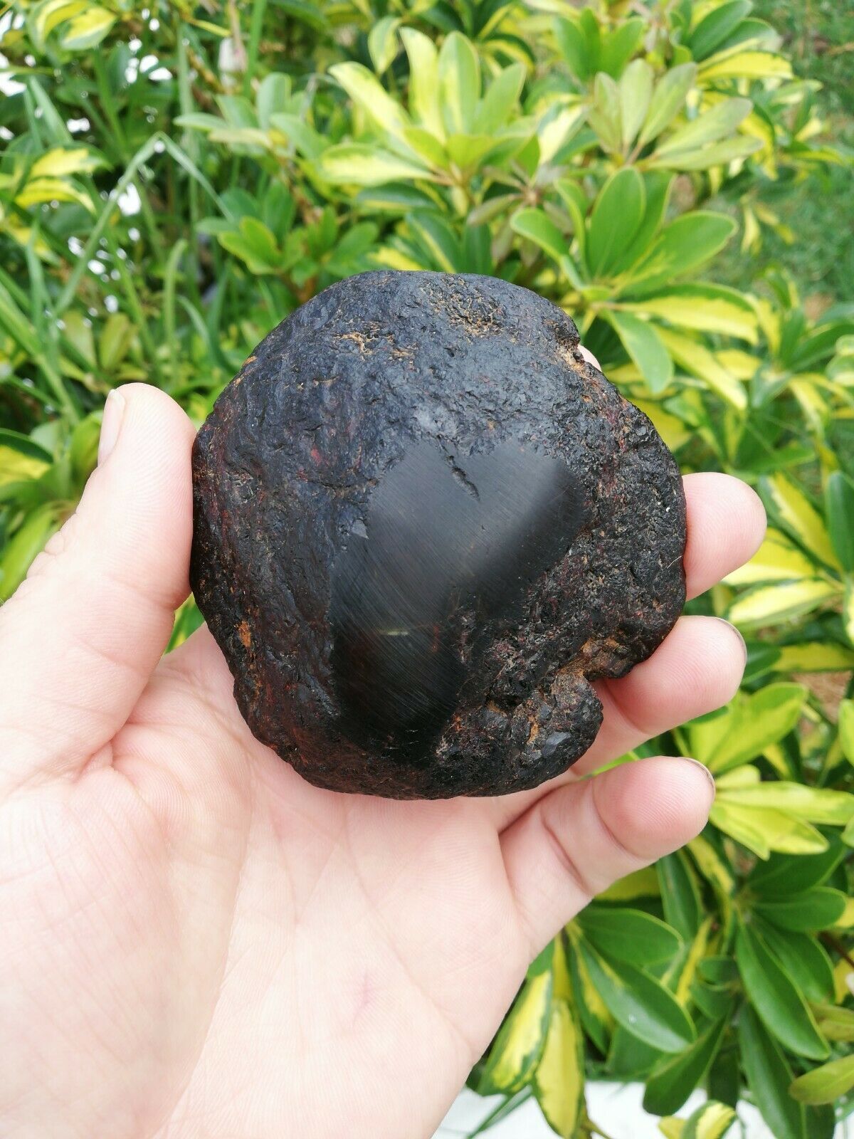 Red Mexican Amber 89g Blood Red Natural Raw