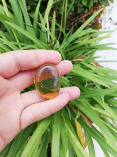 Honey Mexican Amber 9.6g fully polished cabochon pendant