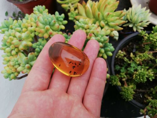 Clear blue green Mexican Amber 13.7g Nice Round shape pendant