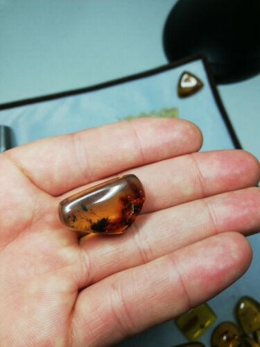 Mexican Amber 4g fully polished blue green gem