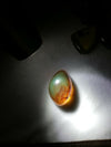 Red green Mexican Amber 10g Good round shape and flat base
