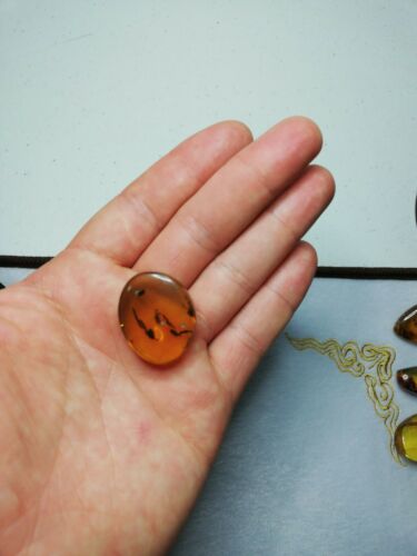 Mexican Amber 4.2g fully polished cabochon pendant