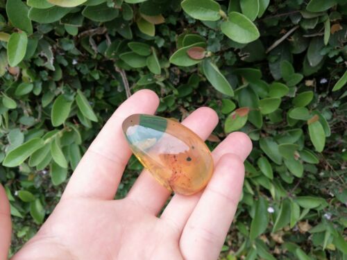 Good Shape Clear pendant blue green Mexican Amber 18.3g