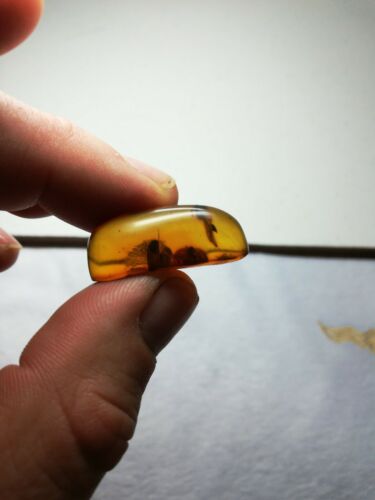 Red cognac Mexican Amber 3.1g fully polished pendant cabochon