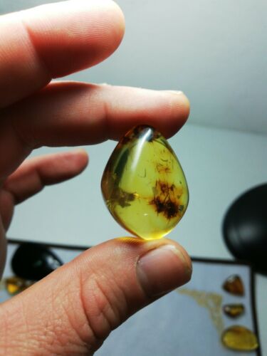 Clear Mexican Amber 8.2g fully polished pendant