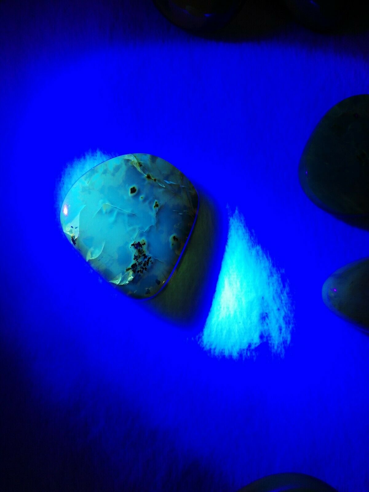 Polishing blue green Mexican Amber 7.6g flat round shape with natural skin