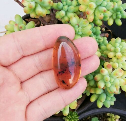 Honey Mexican Amber 9g fully polished cabochon pendant