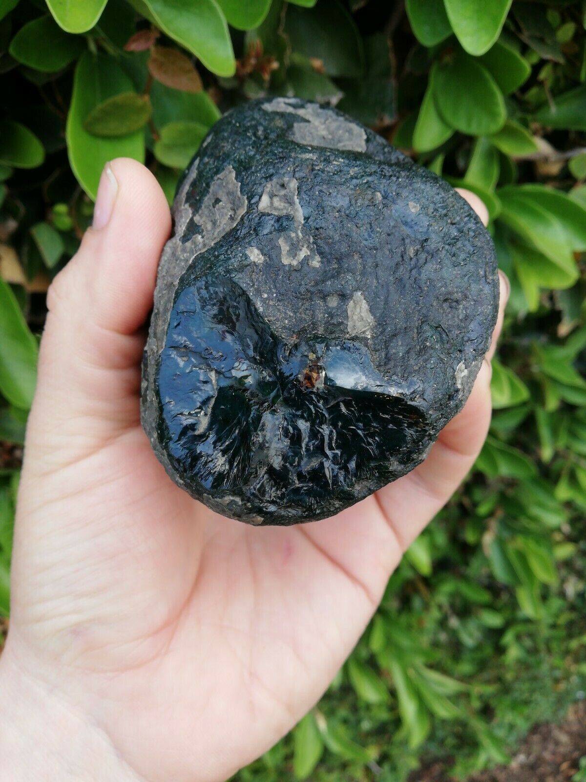 Rare dark blue green Mexican Amber 280g good shape