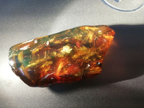 Several Caddisflies or order Trichoptera in Mexican Amber museum grade fossil insect specimen