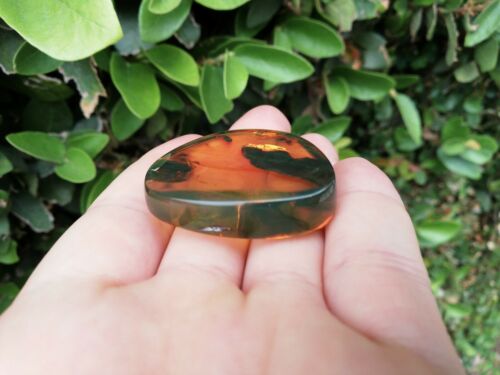 Red skin green Mexican Amber 10.3.g natural full polished