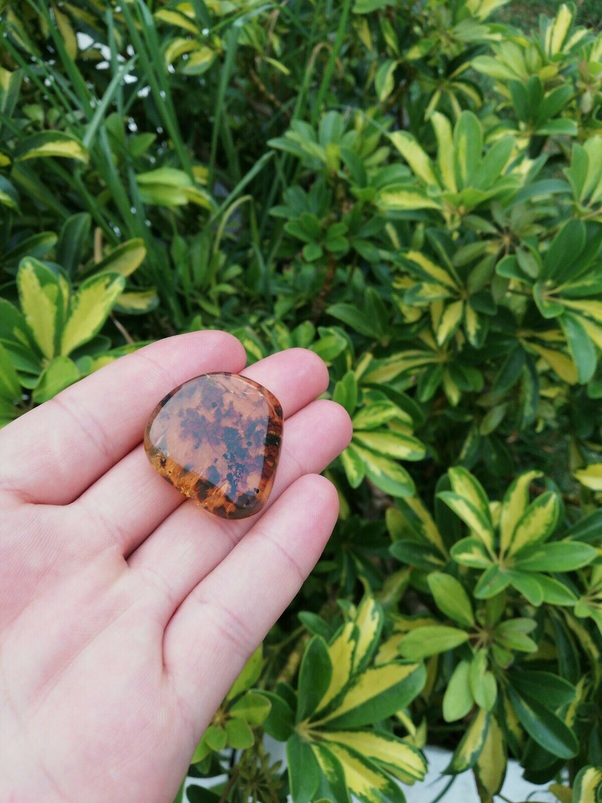 Polishing blue green Mexican Amber 7.6g flat round shape with natural skin