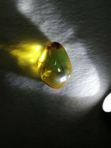 Clear Mexican Amber 8.2g fully polished pendant