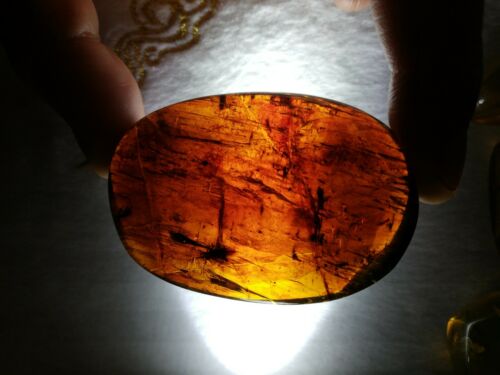 Ants and stingless bees with other insects inside Mexican amber 21.2g