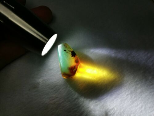 Mexican Amber 4g fully polished blue green gem