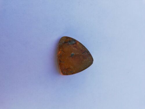 Mexican Amber 5.5g cabochon with natural crust special blue green color