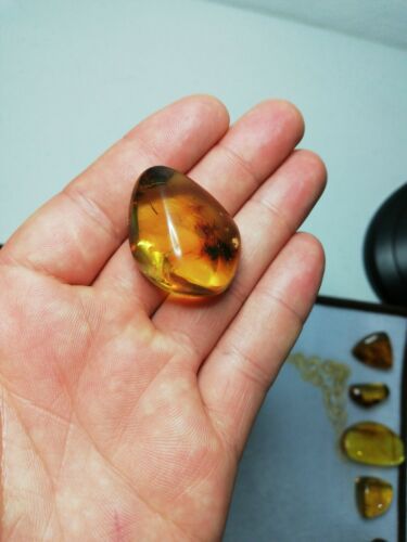 Clear Mexican Amber 8.2g fully polished pendant